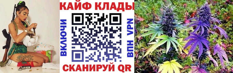 Купить закладку Конопля  Псилоцибиновые грибы  Кокаин  ГАШ  Мефедрон  Верхняя Пышма