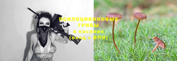 mix Заводоуковск