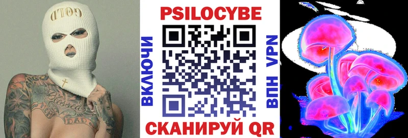Купить закладки  Верхняя Пышма  Псилоцибиновые грибы Psilocybine cubensis 
