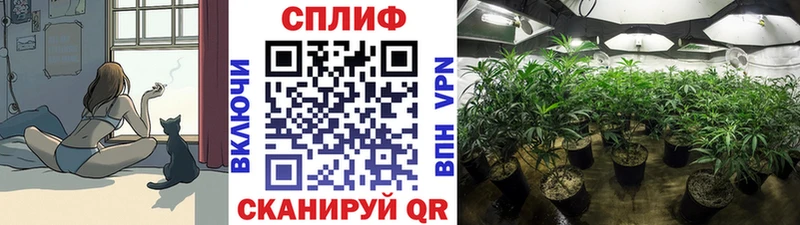 Каннабис ГИДРОПОН  Купить закладки  Верхняя Пышма 